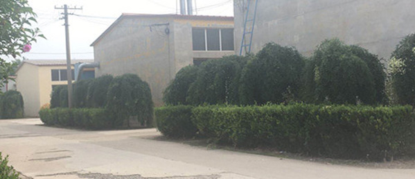 專(zhuān)業(yè)的技術(shù)團(tuán)隊(duì)，為客戶(hù)私人定制